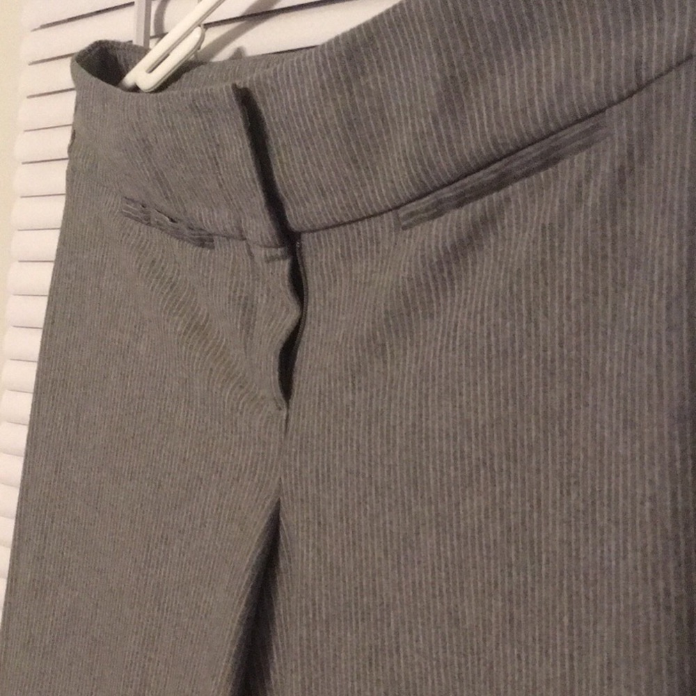 Professional dress/work pants